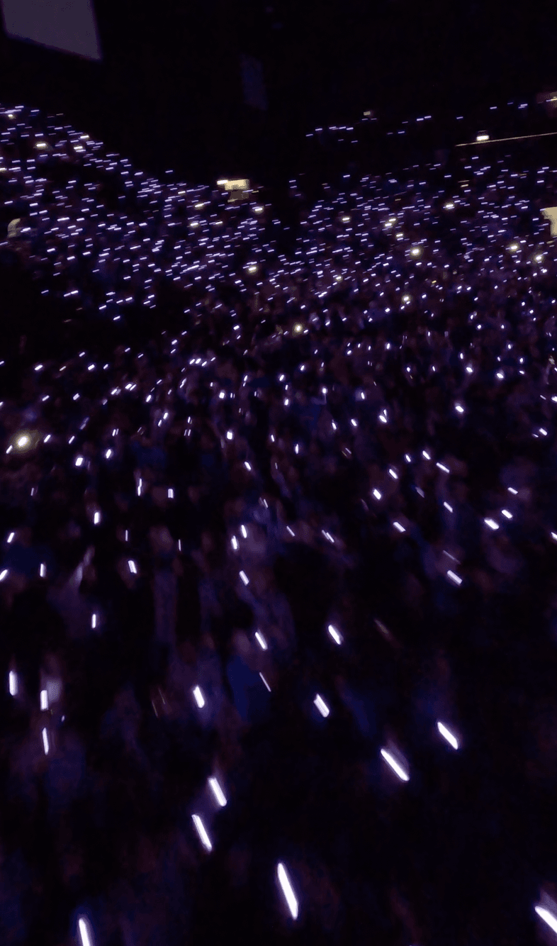 wirkung.wristlink Varianten